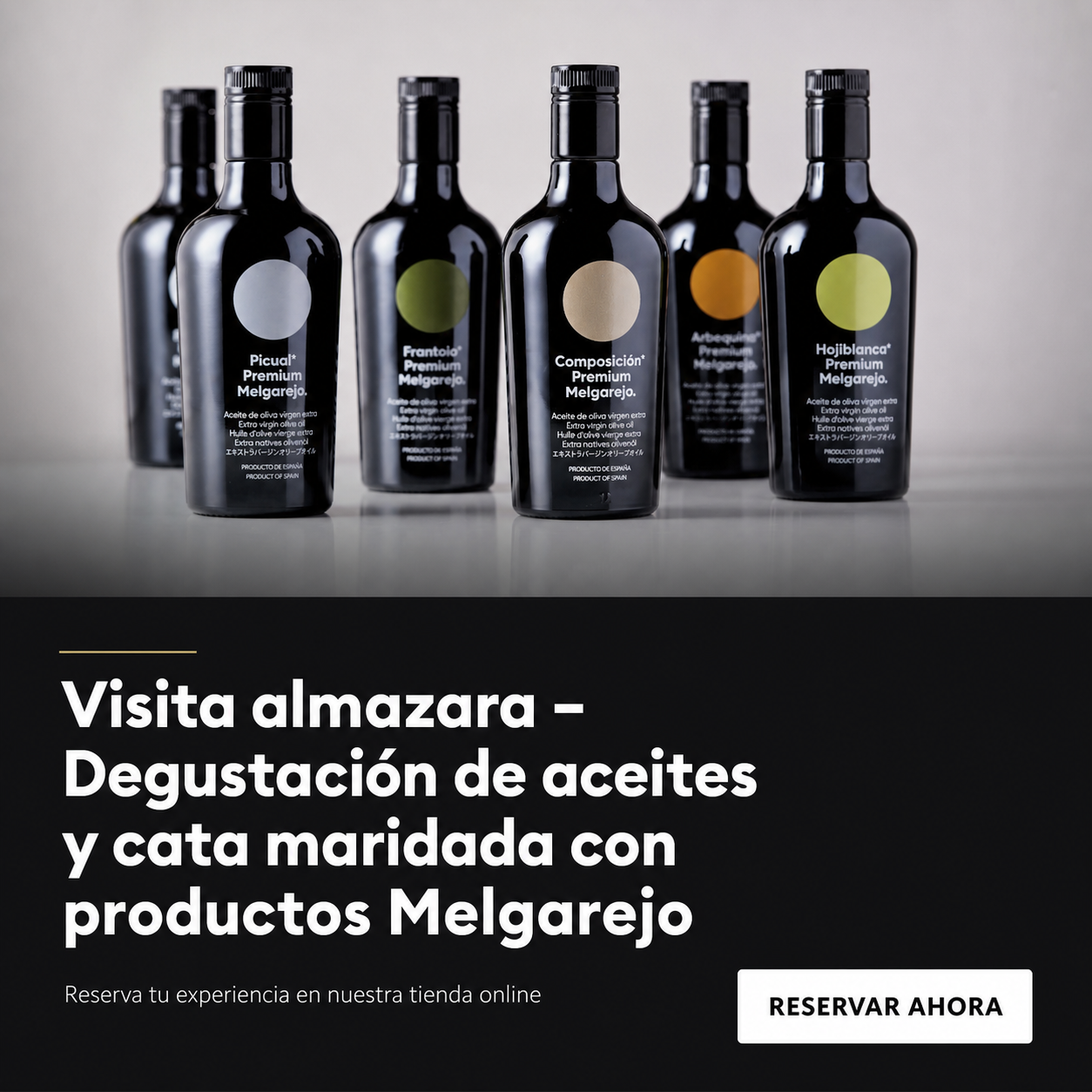 Visita Alamazara - Degustación Aceites y Cata maridada con productos Melgarejo